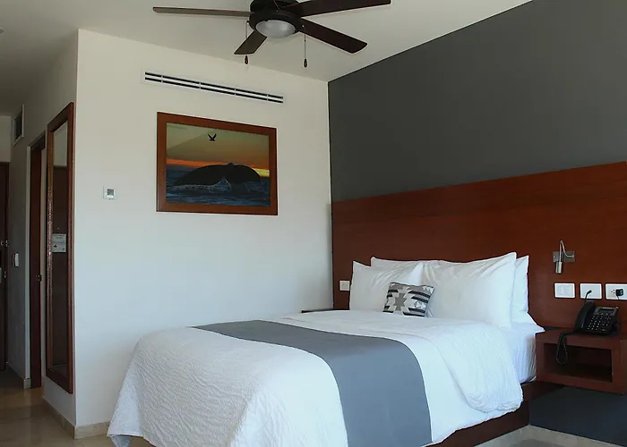 Sol De Cabo Hotel San José del Cabo