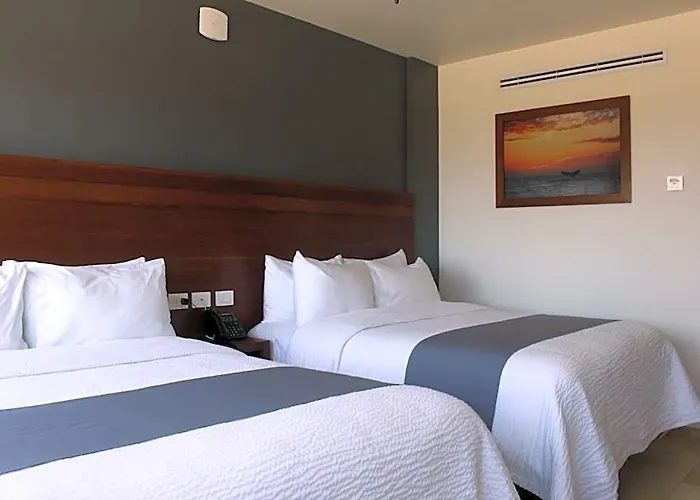Hotel Sol De Cabo San José del Cabo